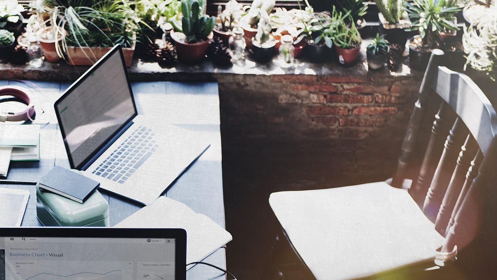 How to Choose Between Hosting Speed, Support, and Price