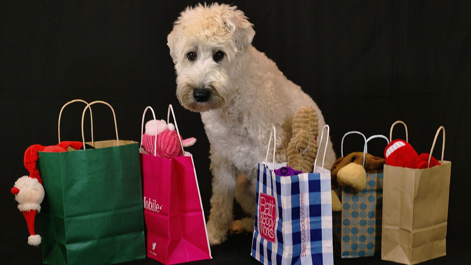 Introduction to Seasonal Software Sales Events